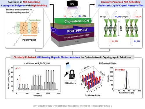 守護未來出行 韓國新型物聯網安全技術為自動駕駛汽車筑起網絡防線