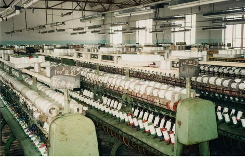 江蘇新首富易主 低調的陳建華，超越劉強東的商業傳奇